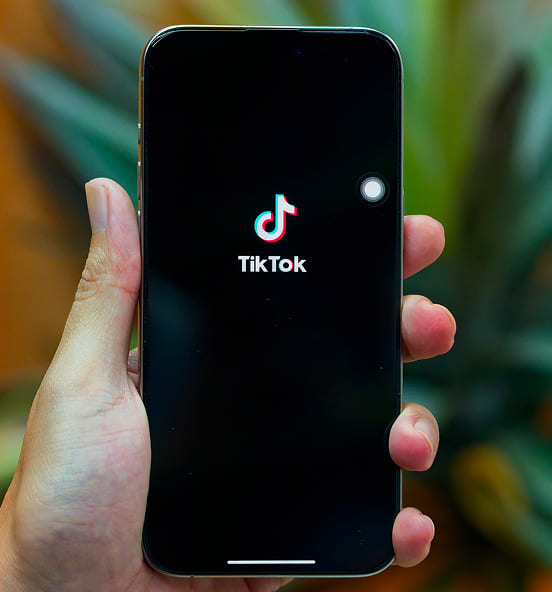 TikTok<br> & Influencer Brands
